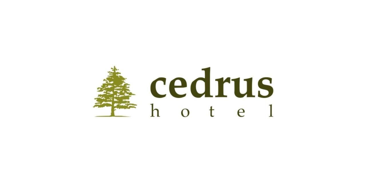 Cedrus Hotel 안탈리아 외부 사진